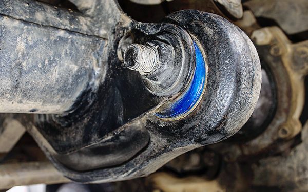 castor-correction-small-2