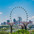 amazing-shot-gardens-by-bay-singapore amazing-shot-gardens-by-bay-singapore